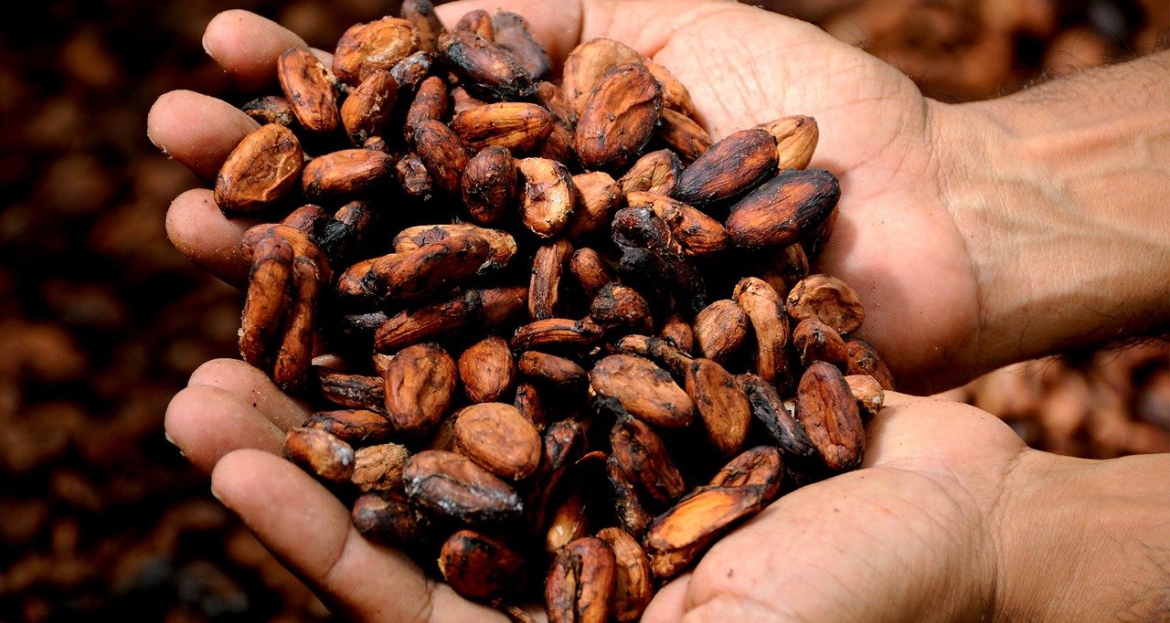 Anandamida, la molécula de la felicidad presente en el cacao y chocolate organico al 70%