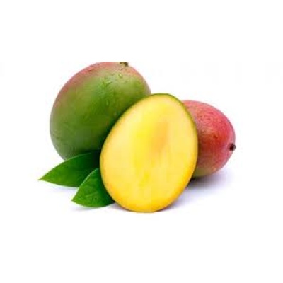 mango tommy